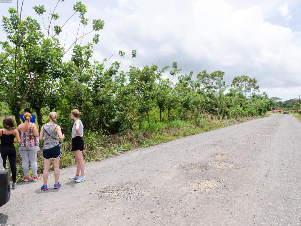 ការយល់ដឹងអំពីអាកប្បកិរិយាស្លុត