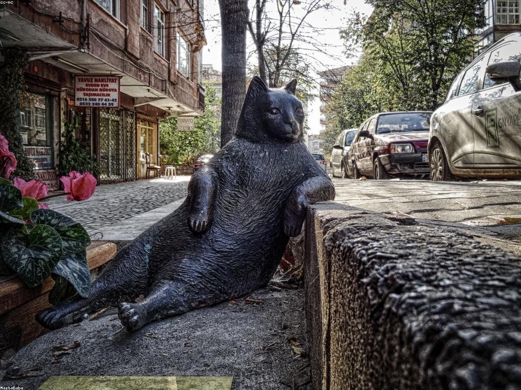 យុទ្ធសាស្ត្រដើម្បីកែលម្អជំនាញលេងកាត