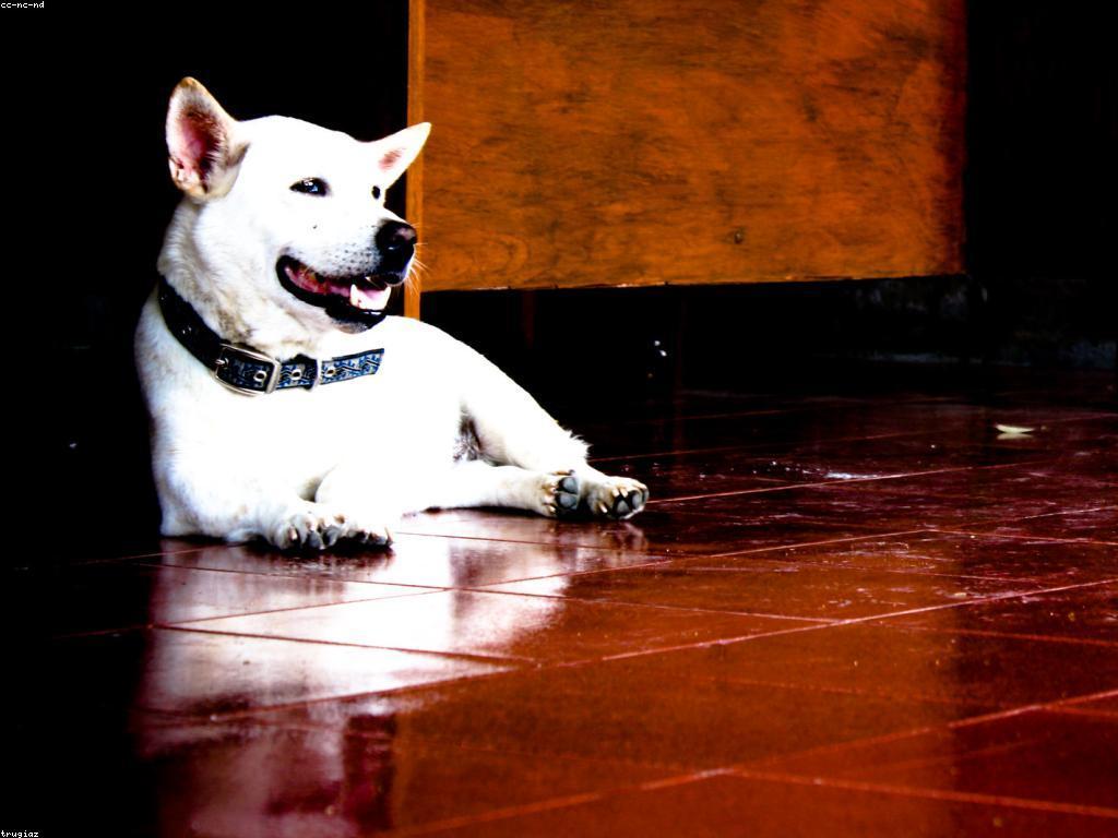 ផលប៉ះពាល់នៃព្រឹត្តិការណ៍ស្លុត